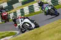 cadwell-no-limits-trackday;cadwell-park;cadwell-park-photographs;cadwell-trackday-photographs;enduro-digital-images;event-digital-images;eventdigitalimages;no-limits-trackdays;peter-wileman-photography;racing-digital-images;trackday-digital-images;trackday-photos